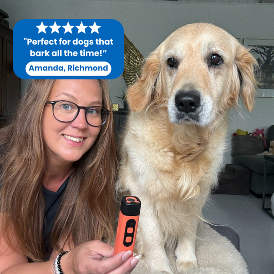 BarkStop – Your Help Against Unnecessary Barking